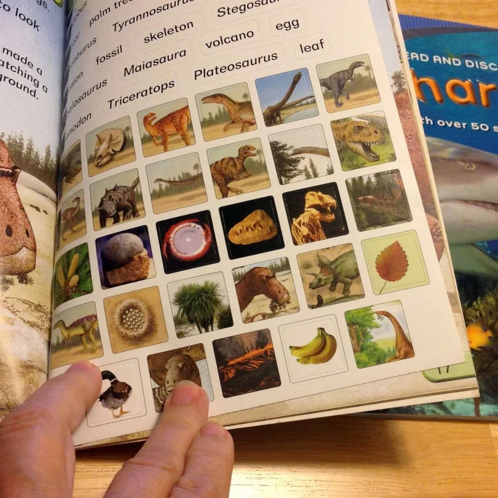 Discovery Kids Educational Booklets, Dinos, sharks, animals, adventures